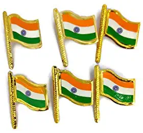 indian-flag-brooch