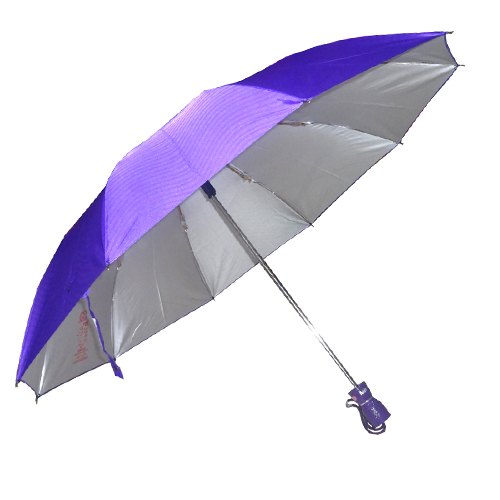 2-fold-button-umbrella-