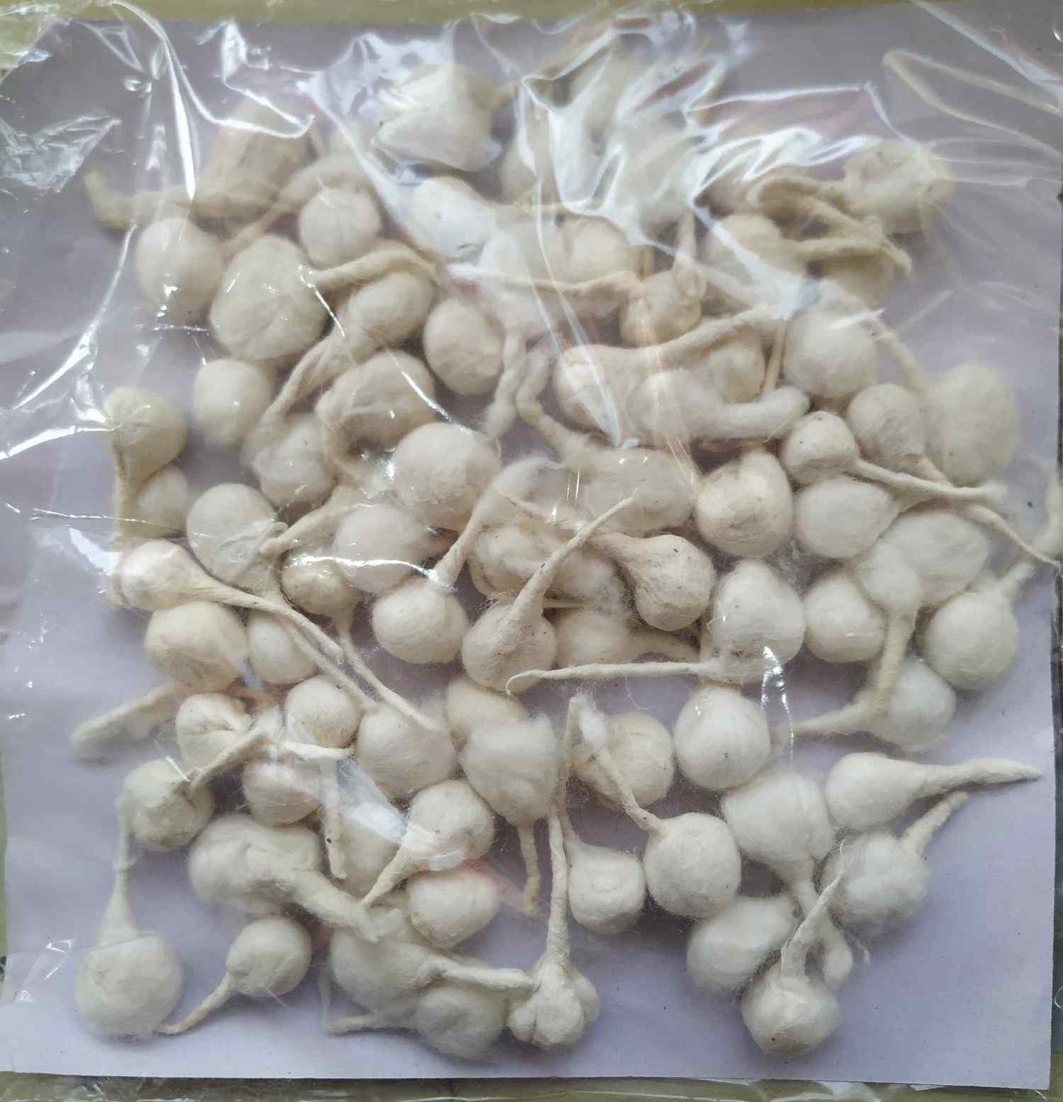 cotton-wick-gol-baati-